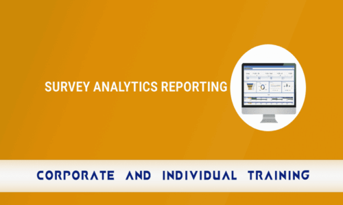 Survey Analytics Reporting